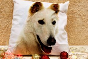 Магазин «Всё для дома» дарит подарки (ФОТО)