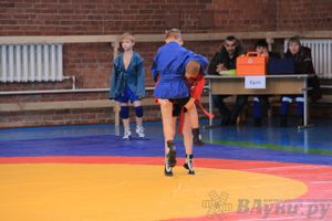 Состоялось Открытое первенство города Великие Луки по борьбе самбо