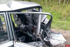 Фото: Псковская Лента Новостей