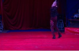 Выступающий в Великих Луках цирк назвал обвинения в свой адрес беспочвенными (ФОТО; ВИДЕО)