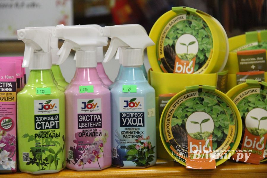 «Золотая Репка» удивляет! (ФОТО)