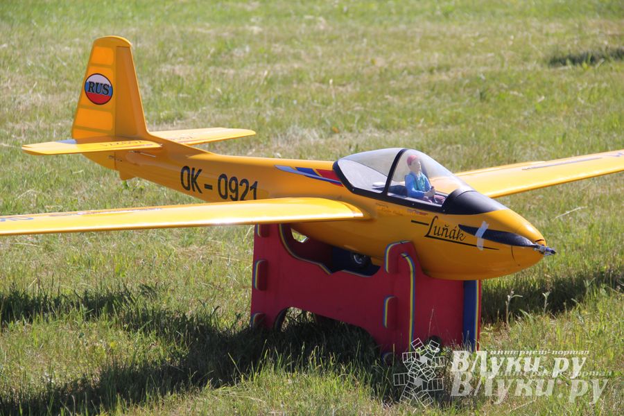 В Великих Луках прошел Фестиваль авиамодельного спорта (фото)