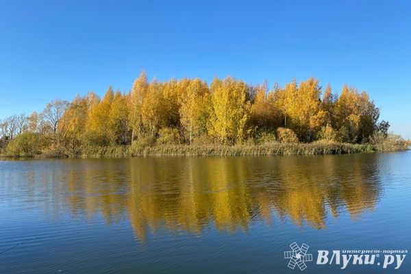 Прогноз погоды в Великих Луках на 7 октября