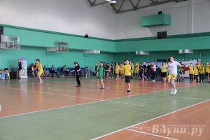 В Великих Луках прошли соревнования на Кубок Красного Креста