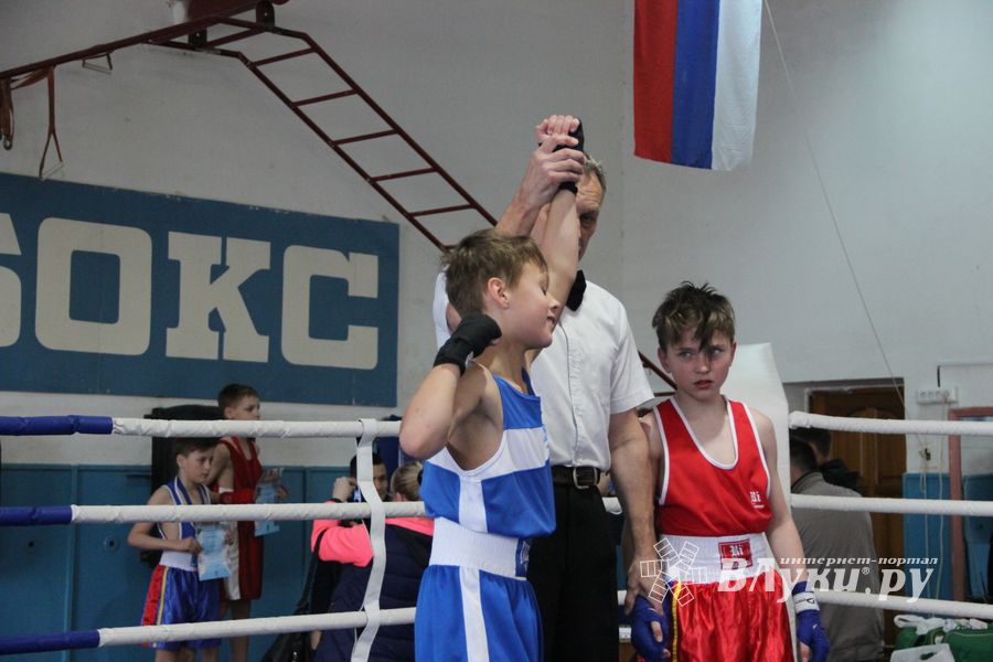 Юные великолучане выявили сильнейших боксёров (ФОТО)