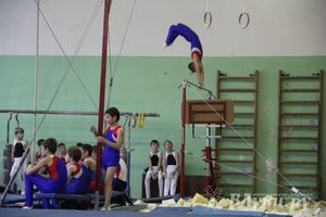 В Великих Луках состоялось  Первенство города по спортивной гимнастике (фото)