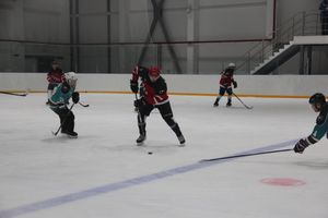 В Великих Луках прошли хоккейные матчи (ФОТО)