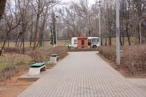 Виолы первыми появились на клумбах Великих Лук (ФОТО)