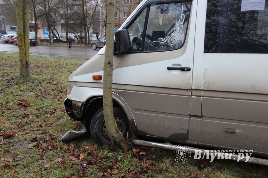 На улице Пушкина водитель врезался в дерево (ФОТО)