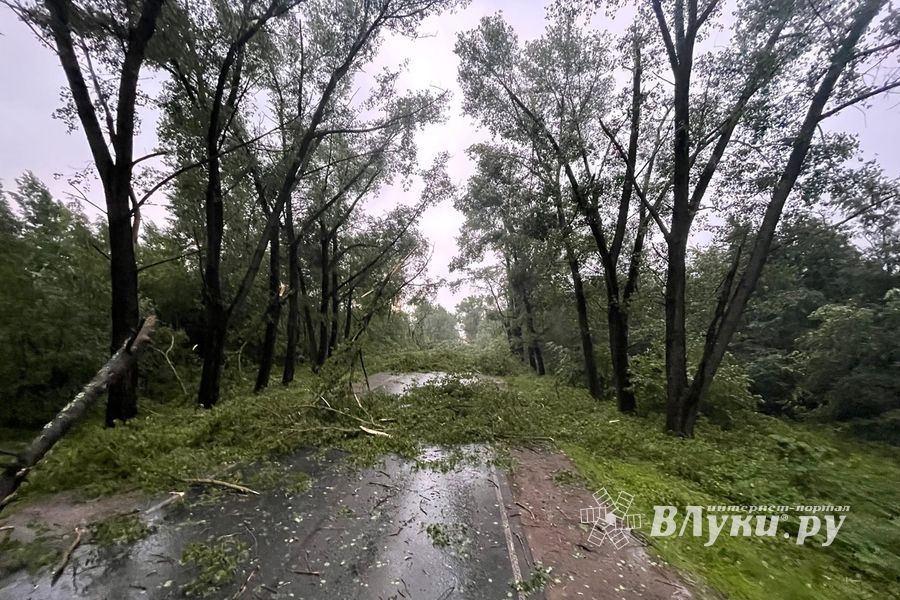 Весь ужас вчерашнего урагана в Великих Луках и районе (ФОТО, ВИДЕО)