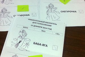 Территориальная избирательная комиссия Великолукского района провела торжественное мероприятие, посвященное Дню Конституции (фото)