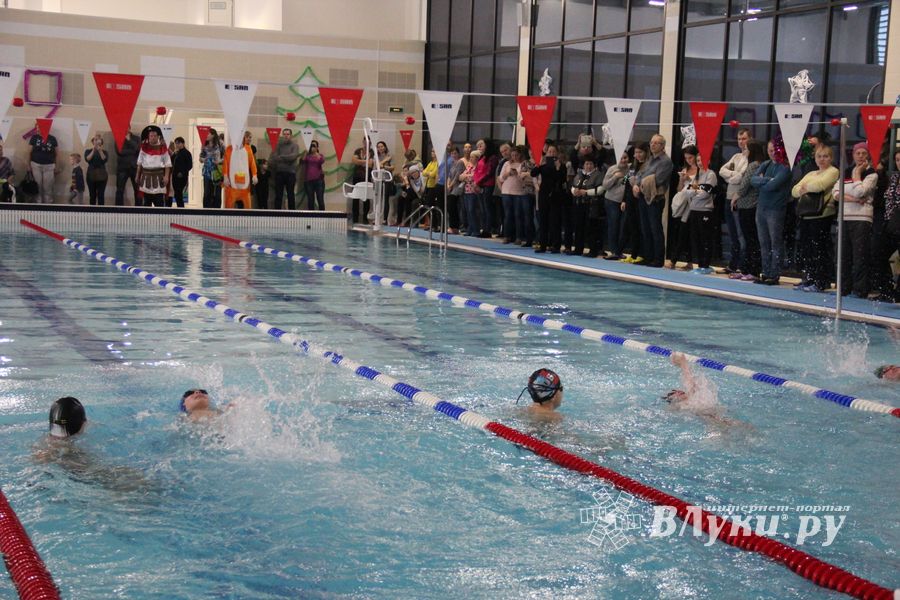 В Великолукском Айсберге прошли соревнования по плаванию на призы Деда Мороза (ФОТО)