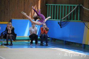 В Великих Луках прошло Первенство по художественной гимнастике (фото)