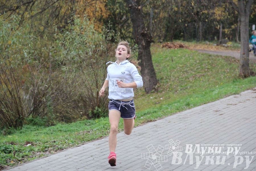 Легкоатлетический осенний кросс прошел в Великих Луках (фото)