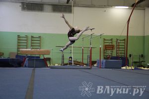 В Великих Луках прошло Первенство Области по спортивной гимнастики (фото)