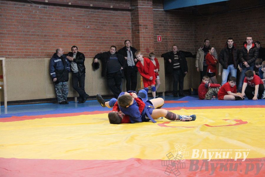 Состоялось Открытое первенство города Великие Луки по борьбе самбо