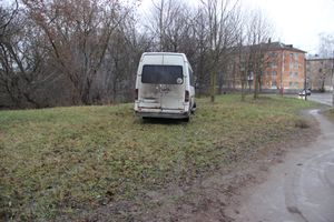 На улице Пушкина водитель врезался в дерево (ФОТО)