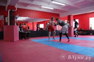 Открытое первенство по грепплингу (фото)