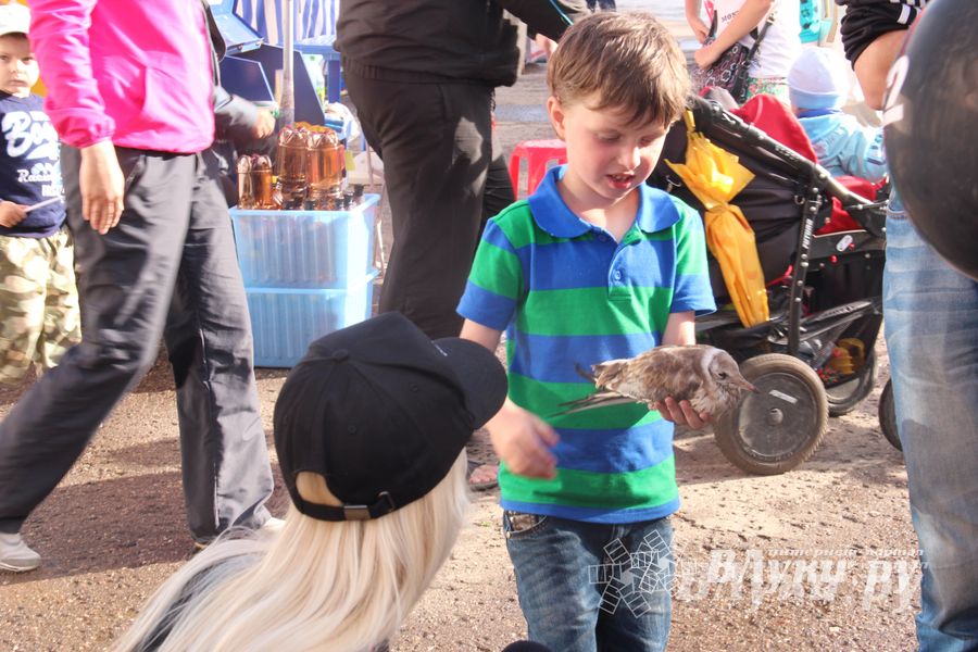 Tele2 поздравила великолучан с Днем рождения любимого города (фото)