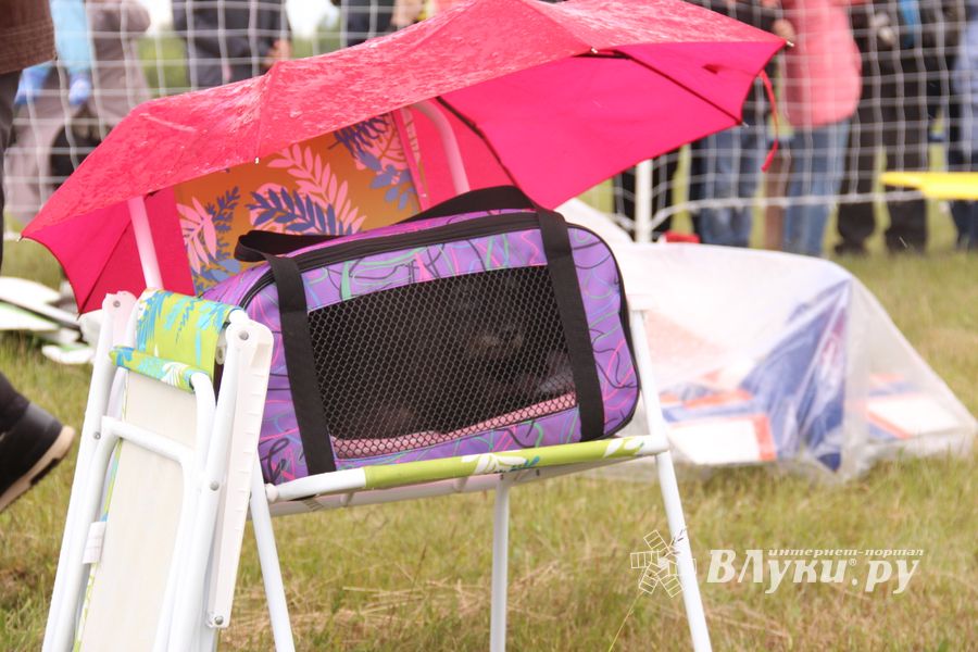 В Великих Луках проходит 7-й Фестиваль авиамодельного спорта (ФОТО)