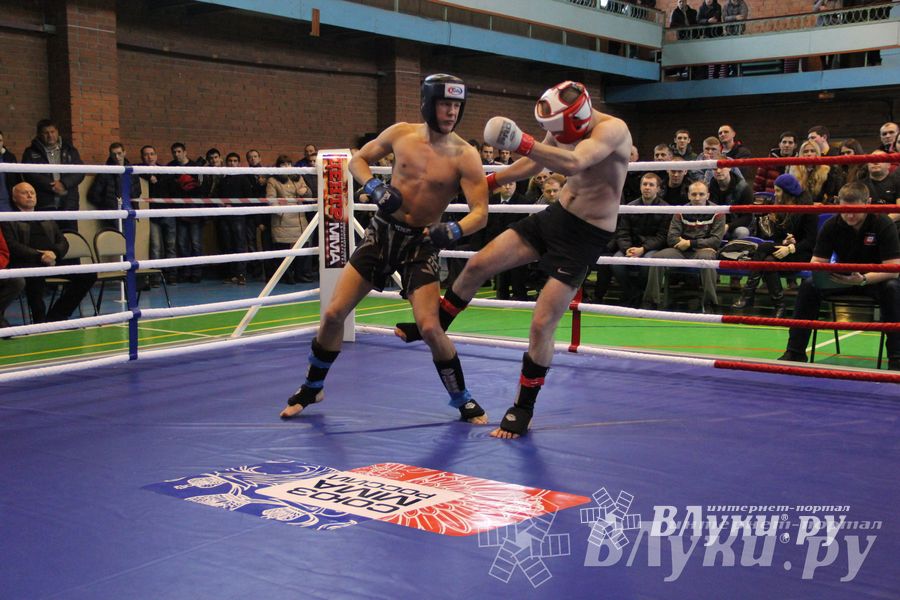 В Великих Луках прошел межрегиональный Открытый Кубок по смешанному боевому единоборству (фото)