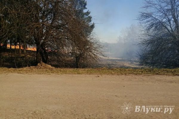 С 8 апреля в Псковской области устанавливается пожароопасный сезон