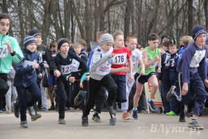 Лично-командный городской легкоатлетический весенний кросс