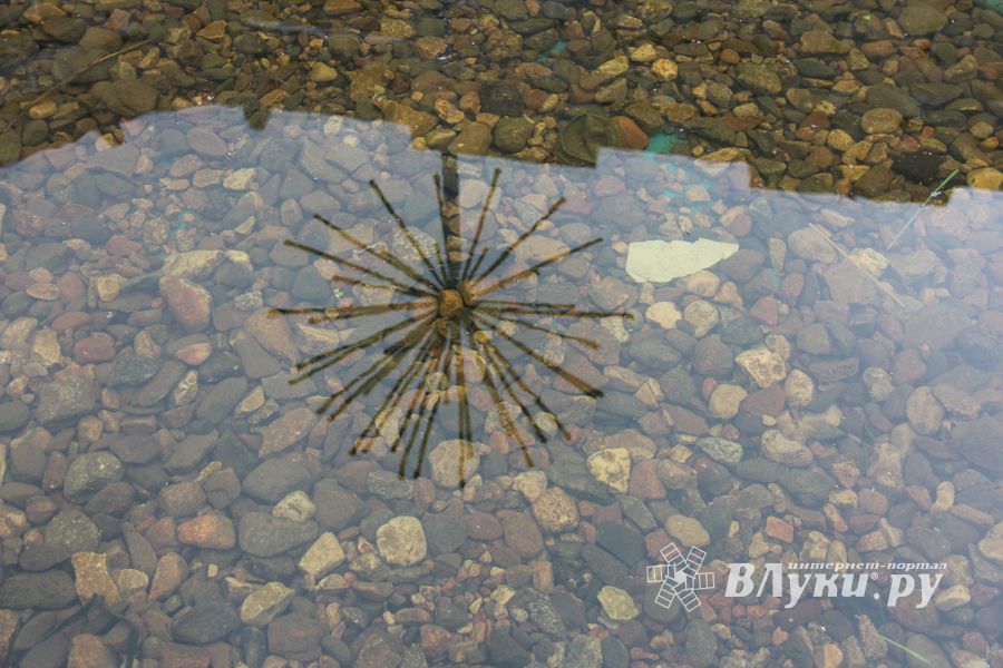 Новый арт-объект появился в Великих Луках (ФОТО)
