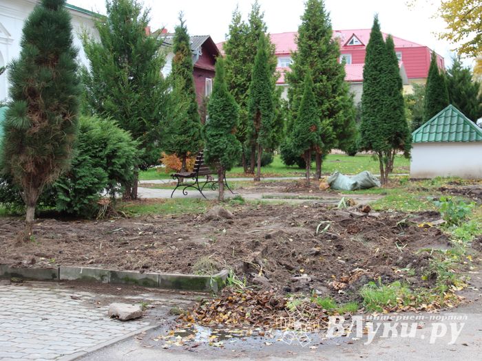 Куда исчезли пихты у Свято-Вознесенского собора в Великих Луках