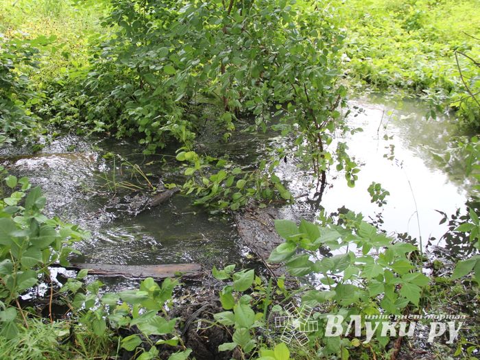 В Великих Луках устраняют серьёзную аварию в сетях канализации (ФОТО)