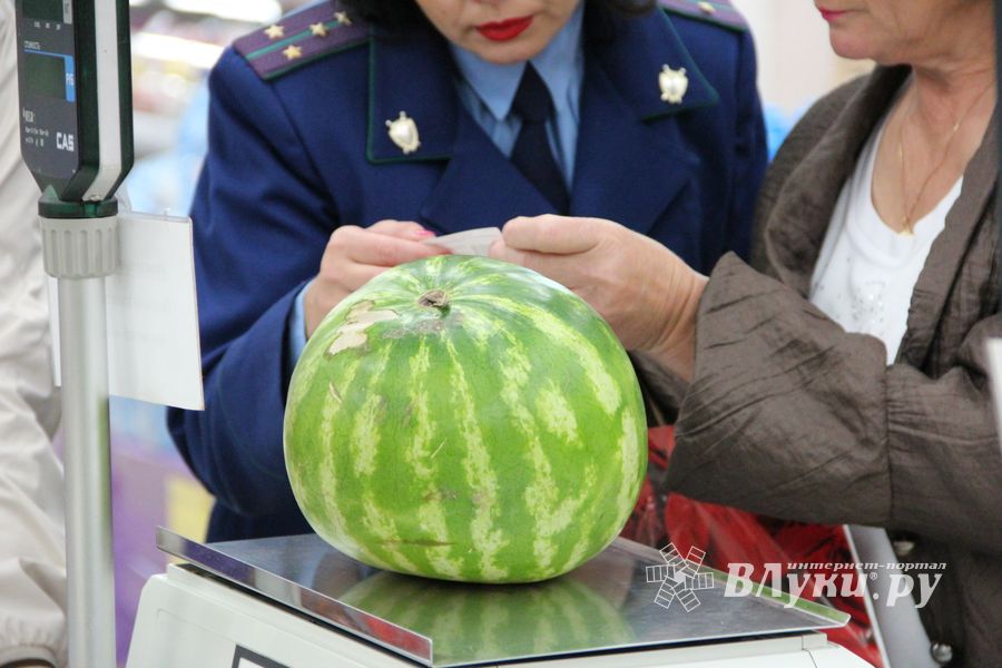 В Великих Луках проверили бахчевые (ФОТО)