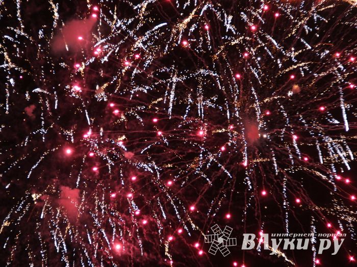 В Великих Луках зажглась новогодная ёлка (ФОТО)