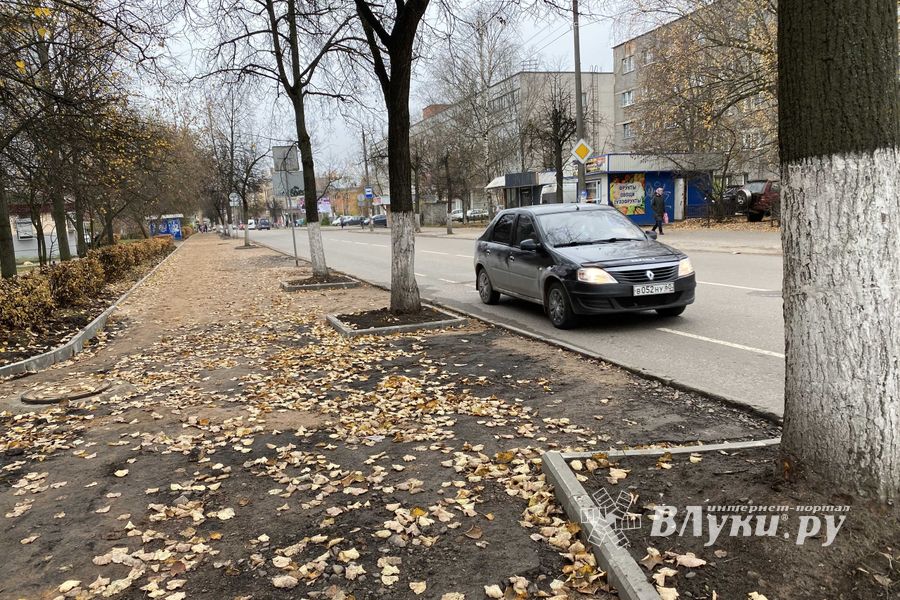 Пешеходам-великолучанам советуют не пользоваться смартфонами (ФОТО)