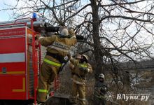 В Усвятском районе прошли пожарно-тактические учения (фото)