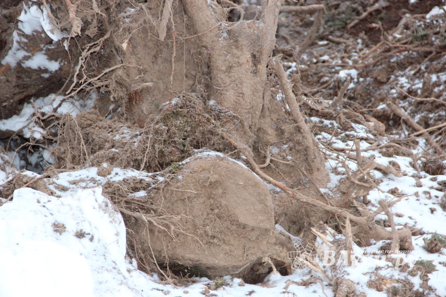 В Великих Луках ведется строительство центра по подготовке велосипедистов (ФОТО)