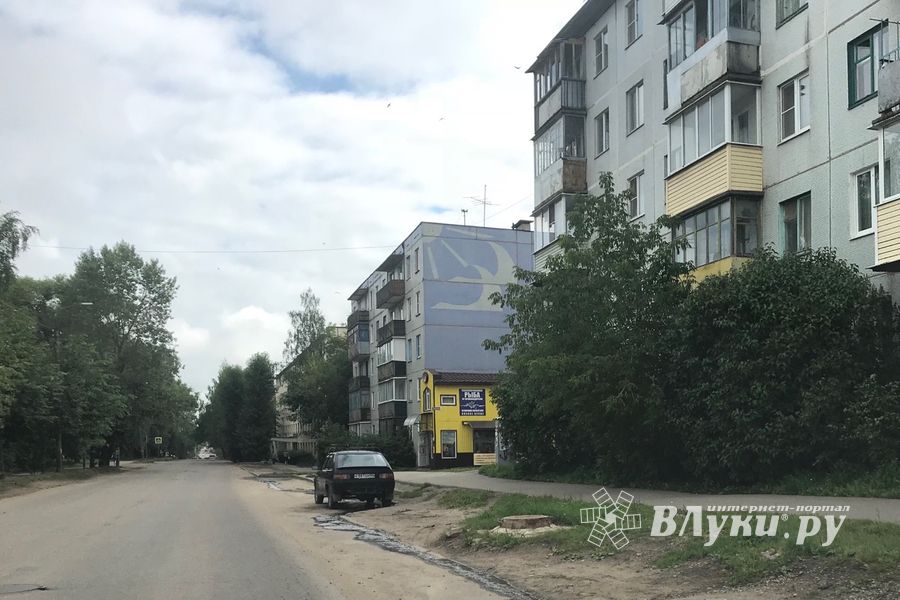 Предприятие в Великих Луках сливает на дорогу (ФОТО)