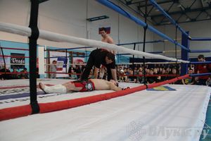 Открытый Кубок города Великие Луки по смешанному боевому единоборству (ММА)