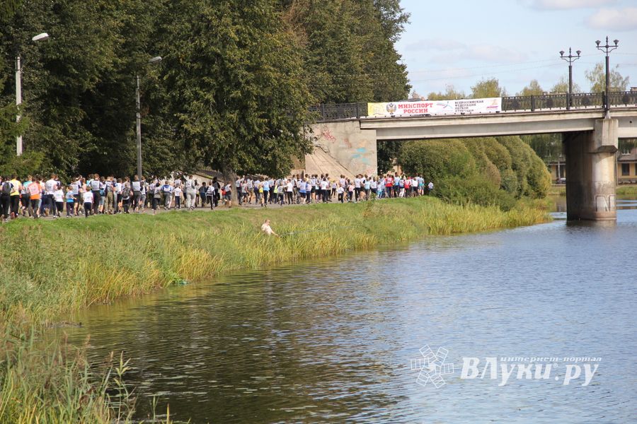 В Великих Луках прошёл «Кросс Нации-2018» (ФОТО)