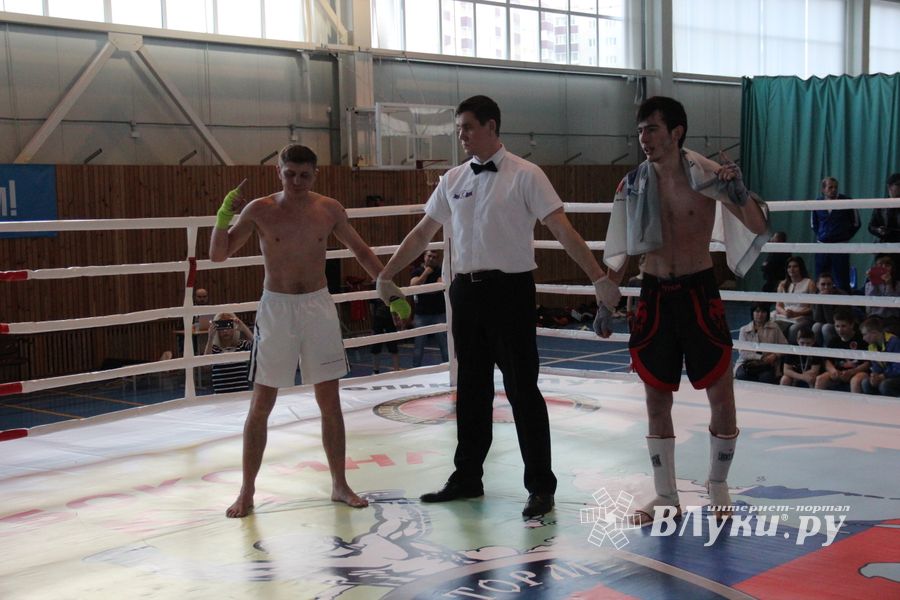 В Великих Луках прошел Кубок области по кикбоксингу (ФОТО)