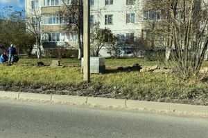 На улице Гражданской ремонтируют тротуар (ФОТО)