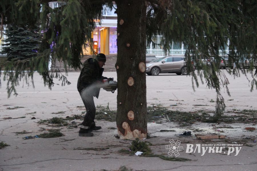 Необычное украшение сняли с главной ёлки Великих Лук