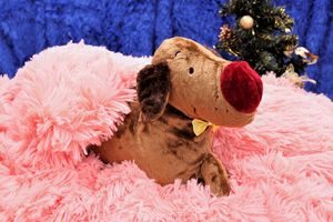 Пора покупать тёплые и яркие новогодние подарки (ФОТО)