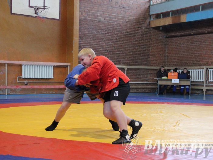 Состоялось Открытое первенство города Великие Луки по борьбе самбо