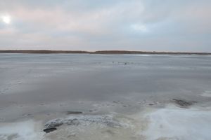 Фото с сайта ГУ МЧС РФ по Псковской области