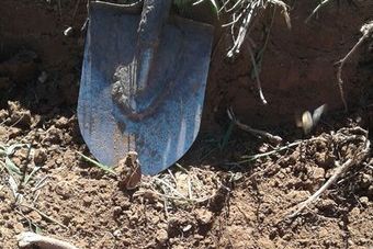 Поисковики отряда «Маргелов» обнаружили останки бойцов РККА (ФОТО)