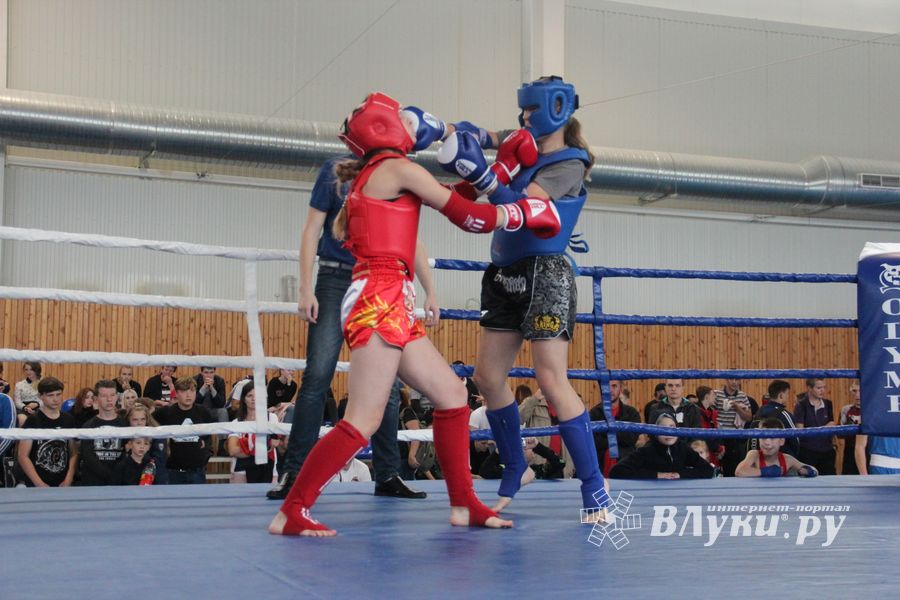 1-й Фестиваль боевых искусств состоялся в Великих Луках  (ФОТО)