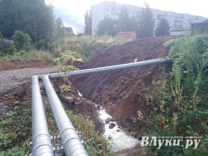 Великолукскую семью вновь превращают в робинзонов (ФОТО)