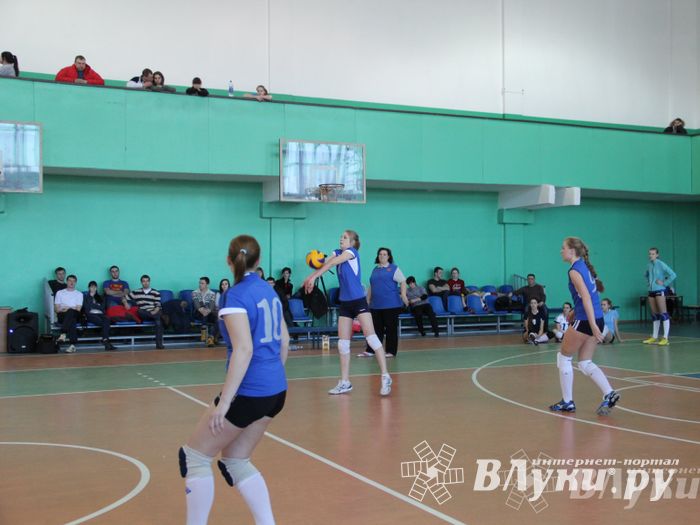 В Великих Луках прошли международные соревнования по волейболу (фото)