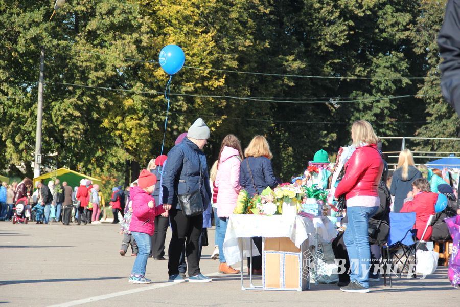 В Великих Луках прошла универсальная осенняя ярмарка (ФОТО)