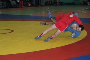 В Великих Луках прошел турнир по самбо, посвященный подвигу Александра Матросова (ФОТО)